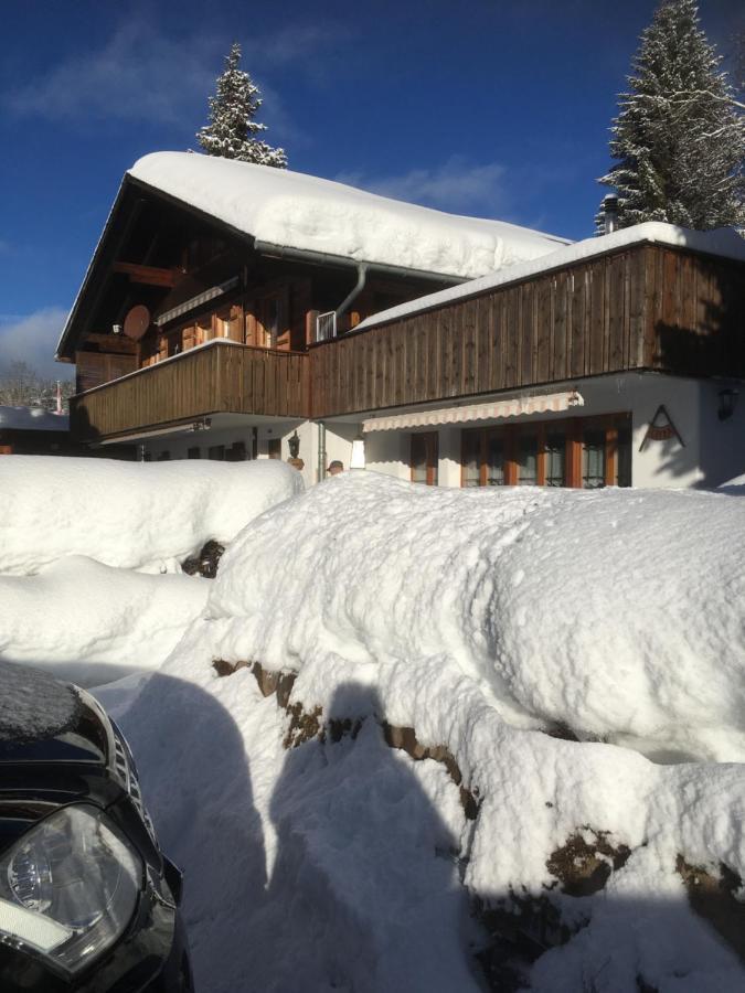 Chalet Erika Eriz Εξωτερικό φωτογραφία